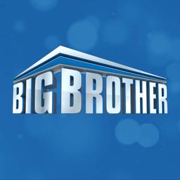 Big Brother - Topic Image